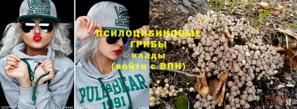 прущая мука Алзамай