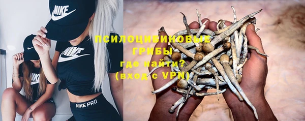 тгк Алексеевка
