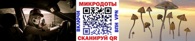 Галлюциногенные грибы мицелий  ОМГ ОМГ как войти  Нижний Ломов  наркотики 